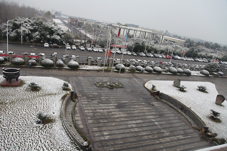 一場雪，才知道您有多美！